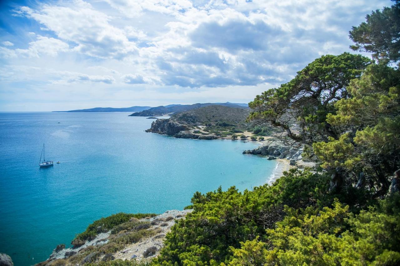 Olive Coast Suites Palekastro Bagian luar foto