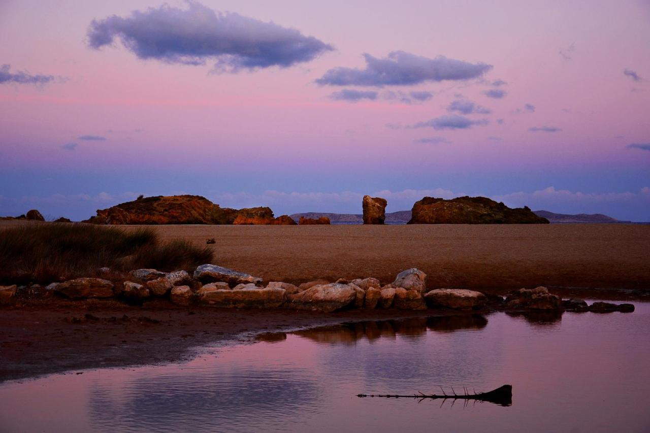 Olive Coast Suites Palekastro Bagian luar foto