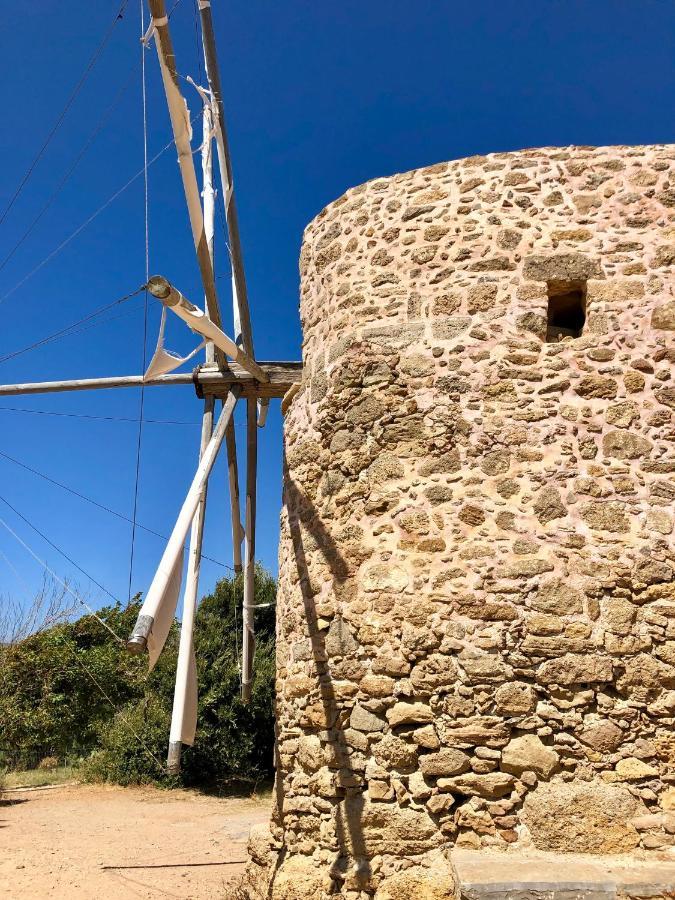 Olive Coast Suites Palekastro Bagian luar foto