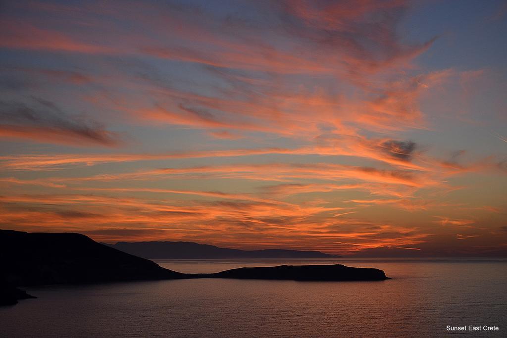Olive Coast Suites Palekastro Bagian luar foto