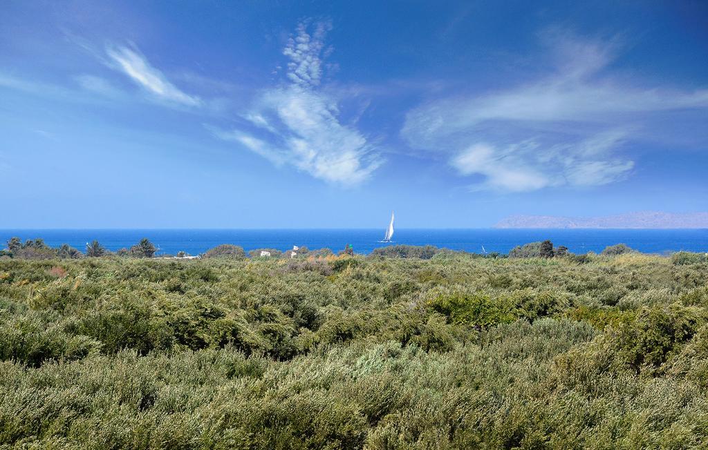 Olive Coast Suites Palekastro Bagian luar foto