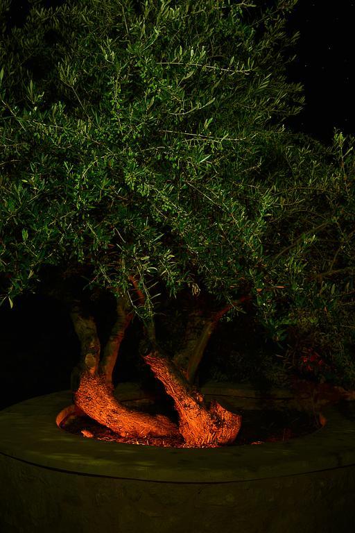 Olive Coast Suites Palekastro Bagian luar foto