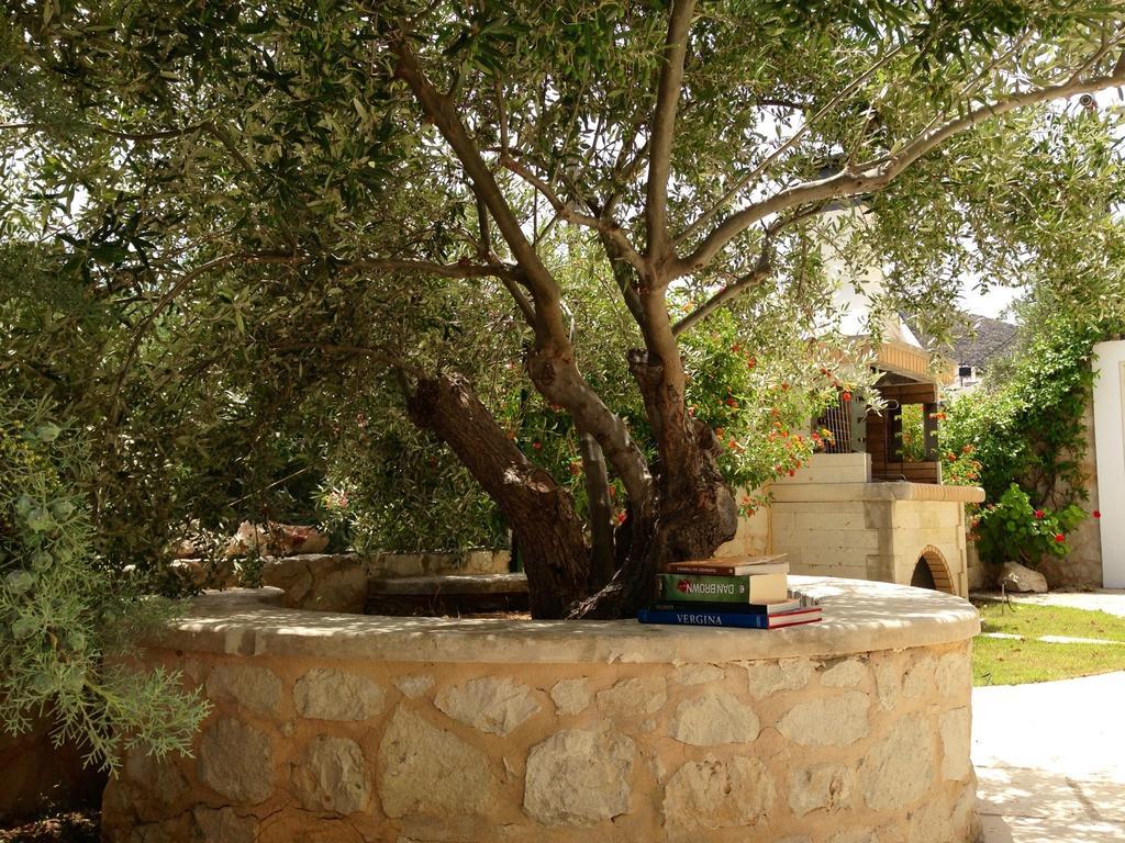 Olive Coast Suites Palekastro Bagian luar foto